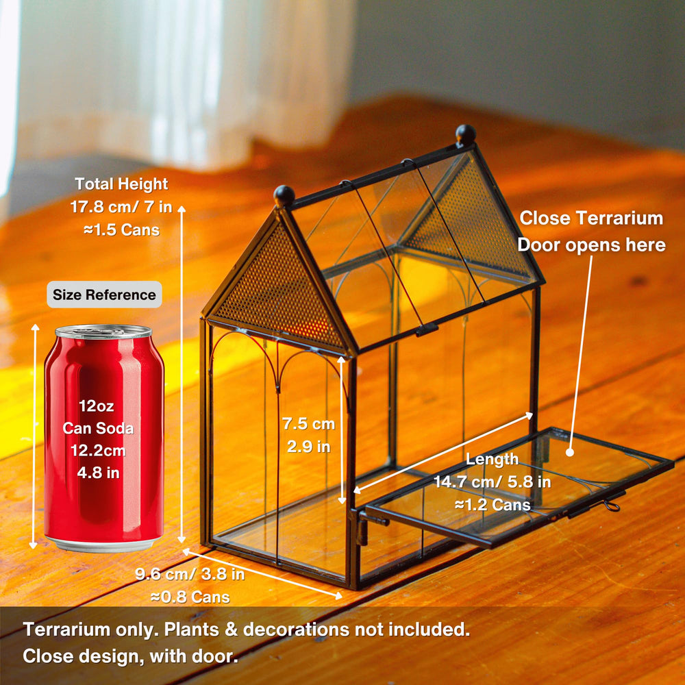 NCYP small glass terrarium with mesh vents demonstrates airflow-friendly enclosure