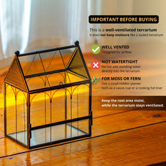 NCYP small glass terrarium triangle roof vent close-up emphasizes breathable, airy setup