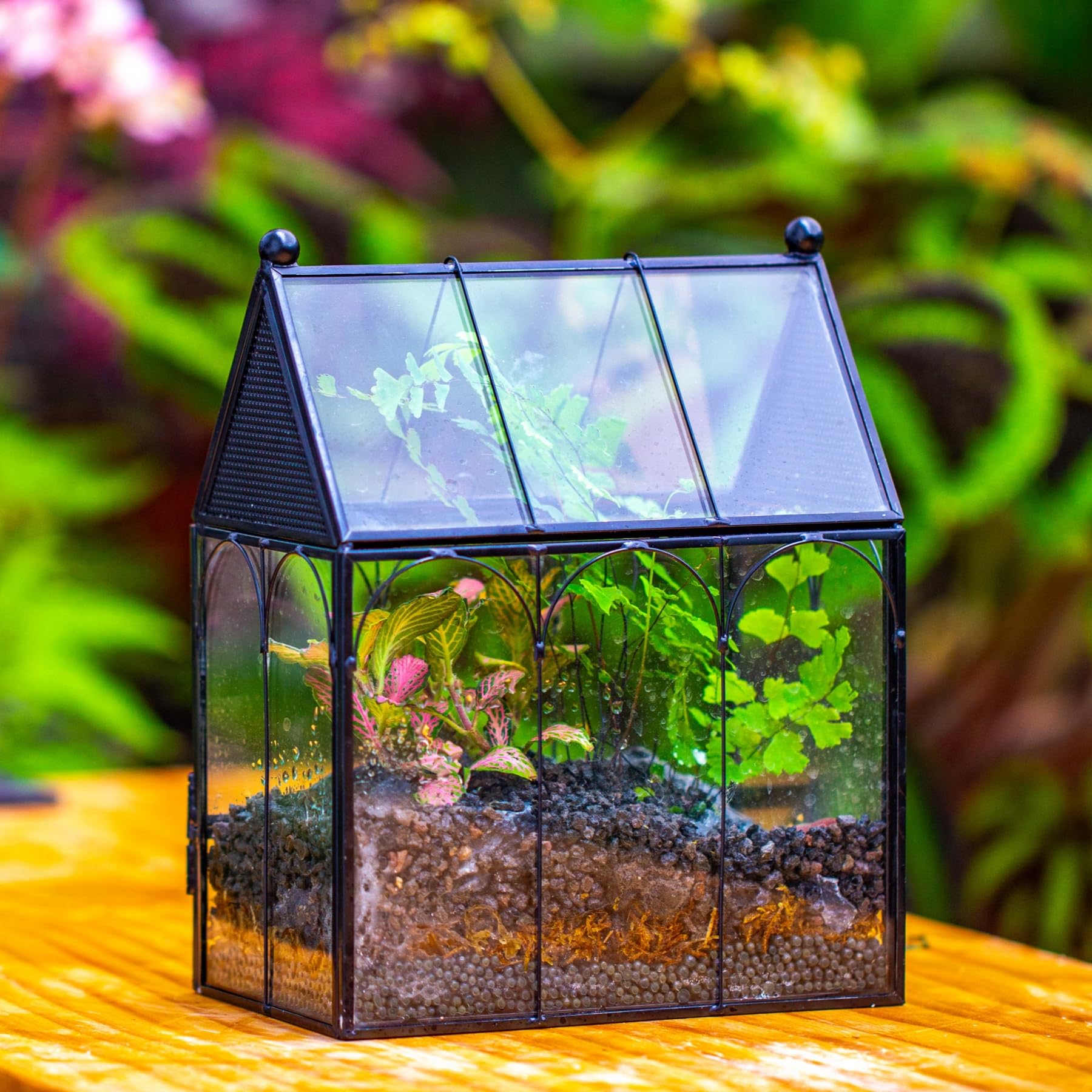 NCYP terrarium dimensions 5.8 x 3.8 x 7 inches fit compact spaces
