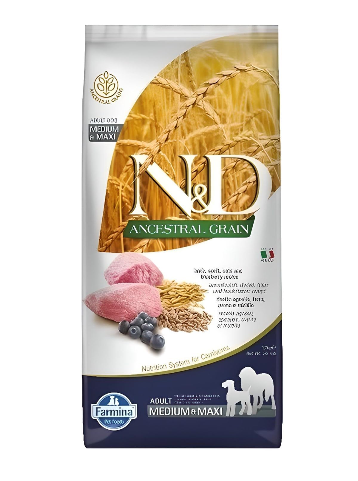 N&D Ancestral Lamb Pumpkin Blueberry bag front view highlights premium protein and grains.