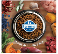 N&D bowl with Lamb, Pumpkin and Blueberry kibble ready to serve for active dogs.