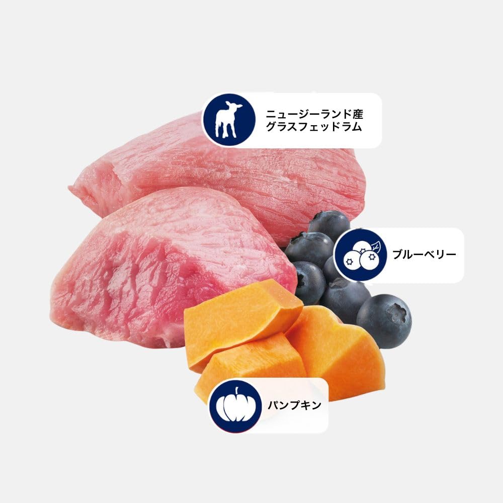 N&D Mini Lamb & Blueberry pumpkin chunks visible highlighting grain-free pumpkin boost for sensitive stomachs.