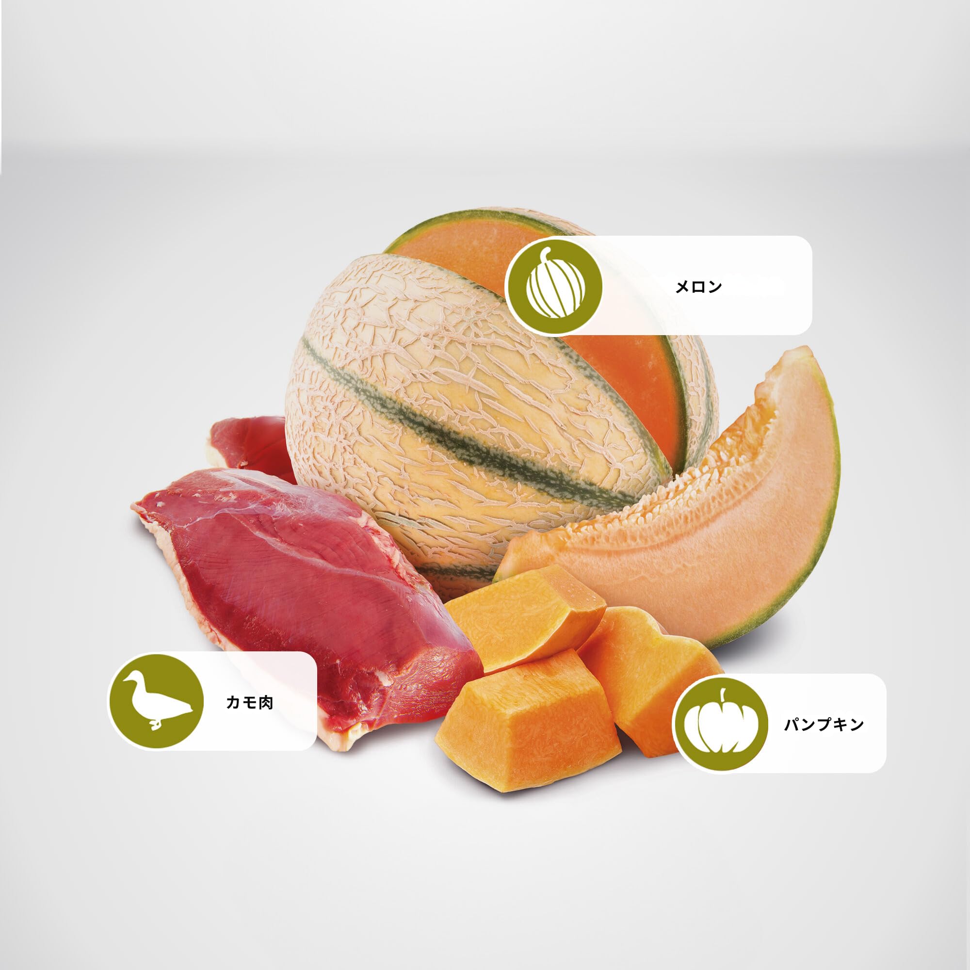 N&D Pumpkin Duck Cantaloupe kibble in bowl highlighting digestion-friendly formula.