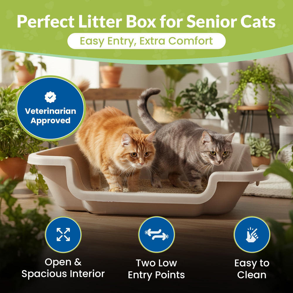 NE14pets KittyGoHere 2.0 low-entry design reduces jumping and strain