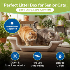 NE14pets KittyGoHere 2.0 low-entry design reduces jumping and strain