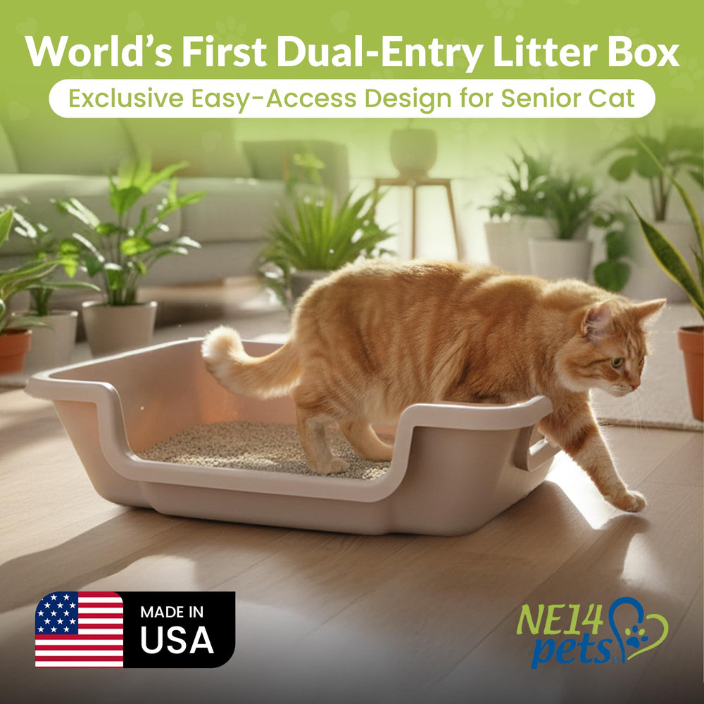 NE14pets KittyGoHere 2.0 made in USA from durable polypropylene