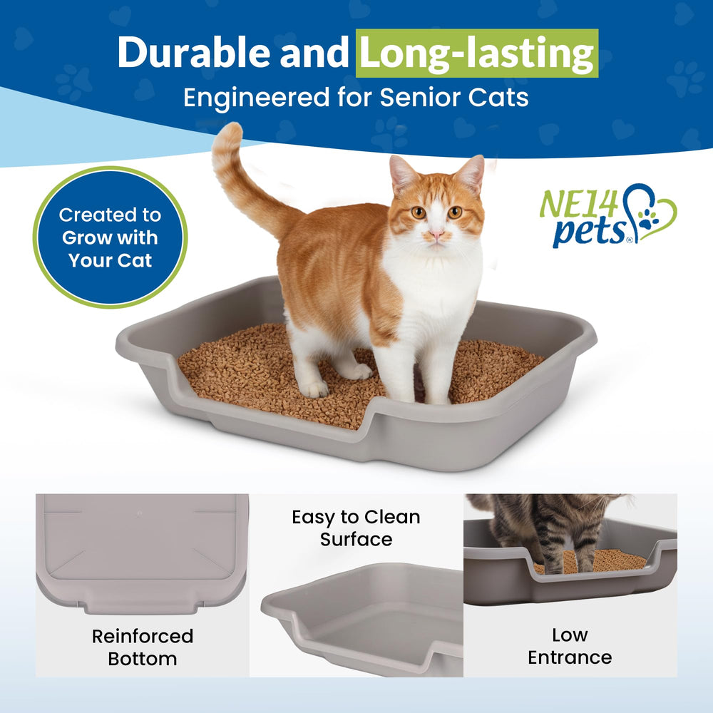 NE14pets KittyGoHere arthritic-friendly design suits aging cats