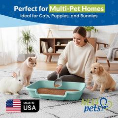 NE14pets KittyGoHere clear-view design helps arthritic cats position comfortably.