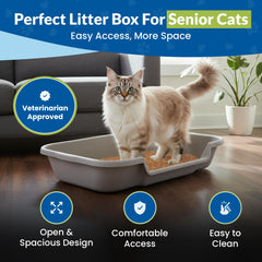 NE14pets KittyGoHere low entrance litter box eases entry for arthritic cats