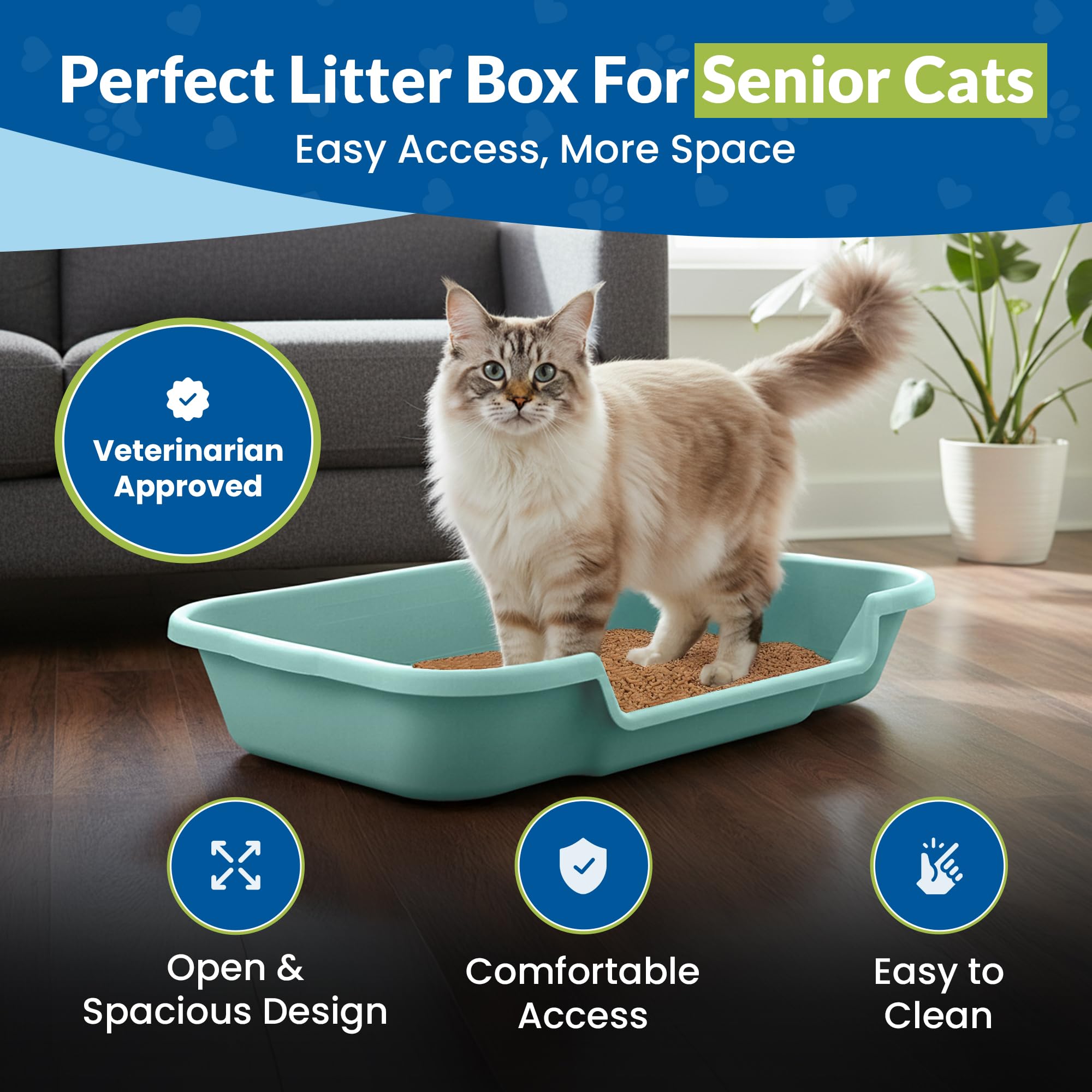 NE14pets KittyGoHere open-top entry offers clear surroundings for fearful cats.