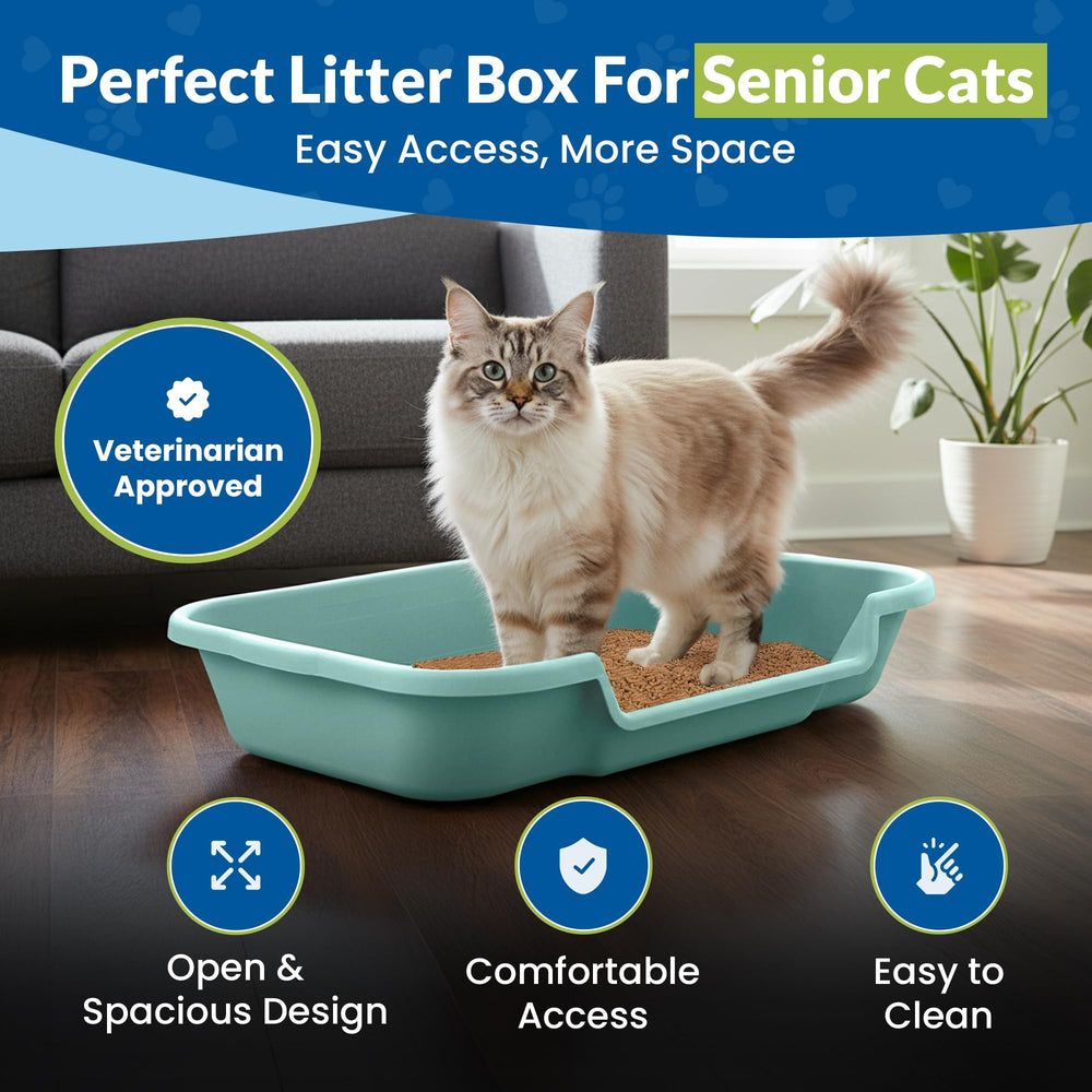 NE14pets KittyGoHere open-top entry offers clear surroundings for fearful cats.