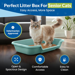 NE14pets KittyGoHere open-top entry offers clear surroundings for fearful cats.