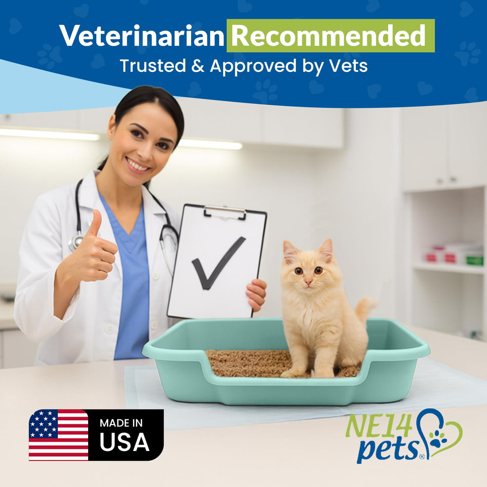 NE14pets KittyGoHere roomy litter area supports comfortable turning and digging.