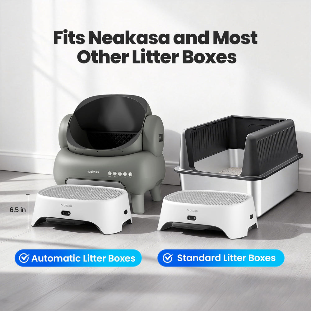 Neakasa Airstep 6.5-inch step height enables comfortable cat access
