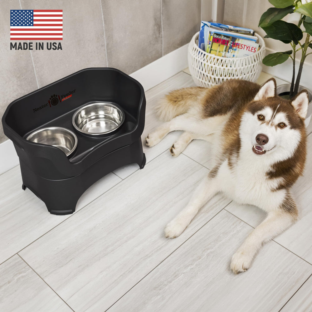 Neater Feeder Deluxe elevated stand designed for large dogs over 40 pounds.