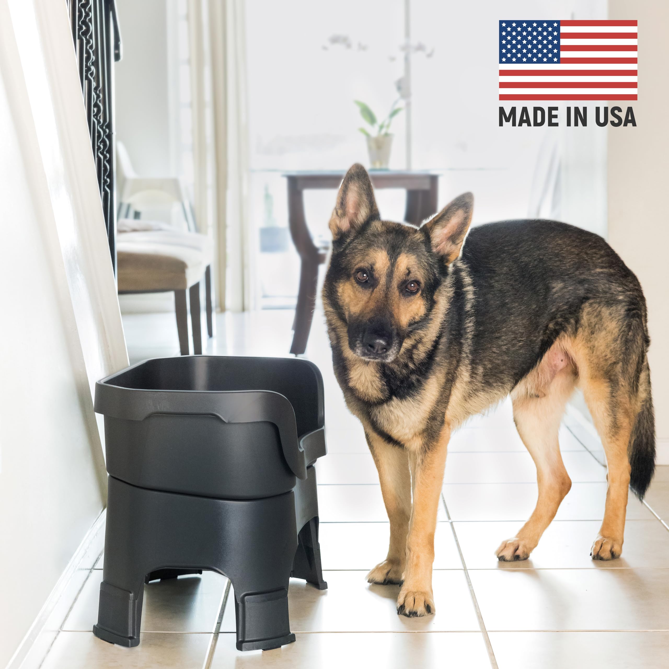 Neater Feeder Deluxe large-dog bowls on elevated platform for comfort