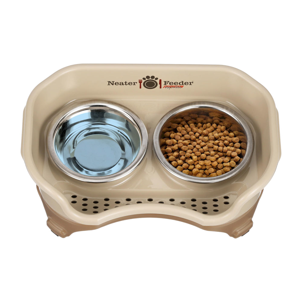 Neater Feeder Express elevated feeder setup for indoor cats.