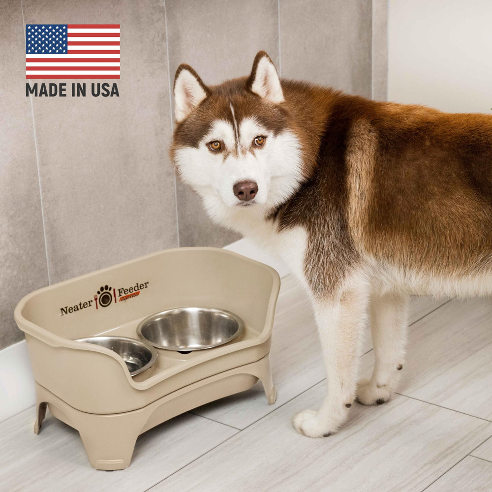 Neater Feeder Express elevated bowls reduce neck strain for large dogs.