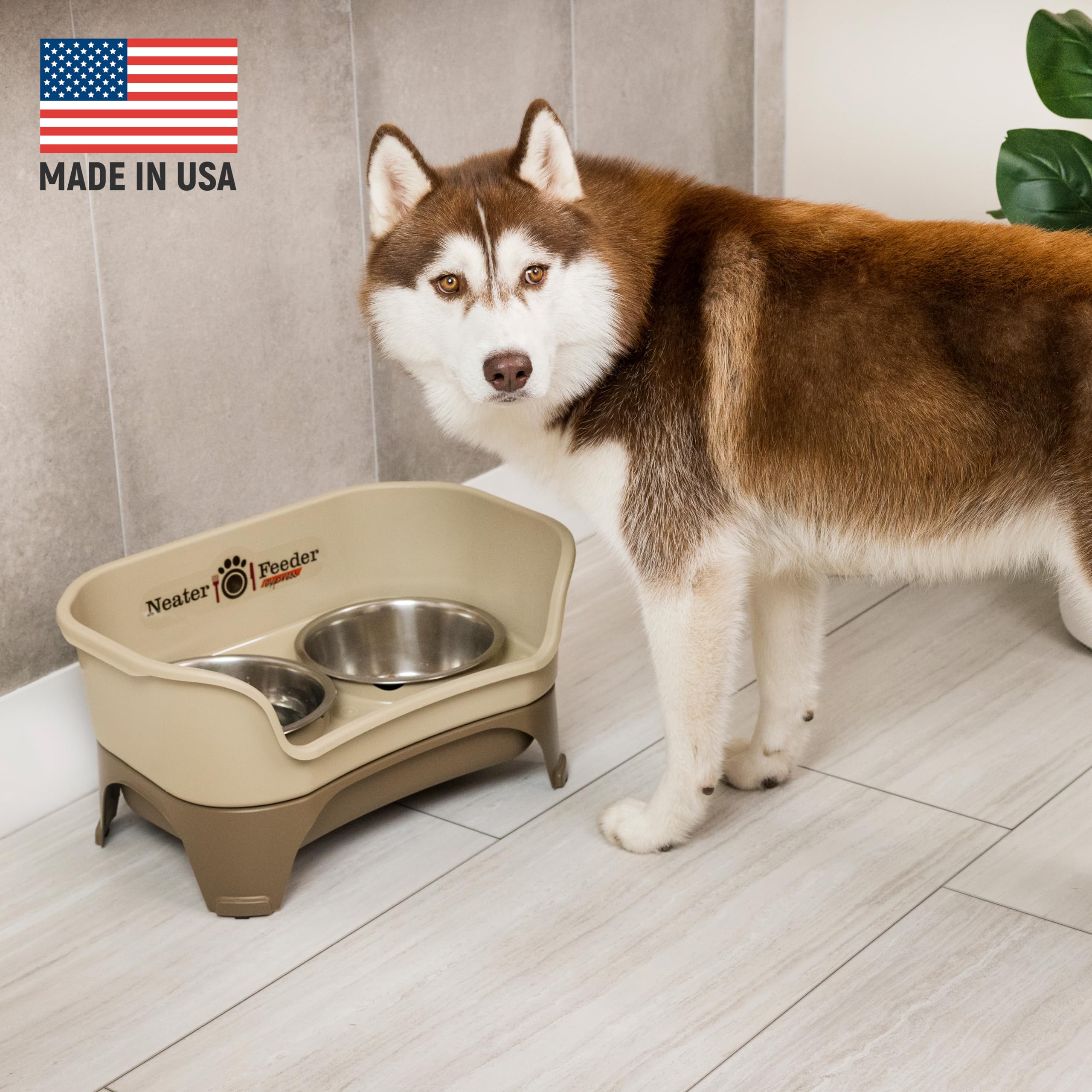 Elevated Neater Feeder Express supports comfortable feeding for large dogs.