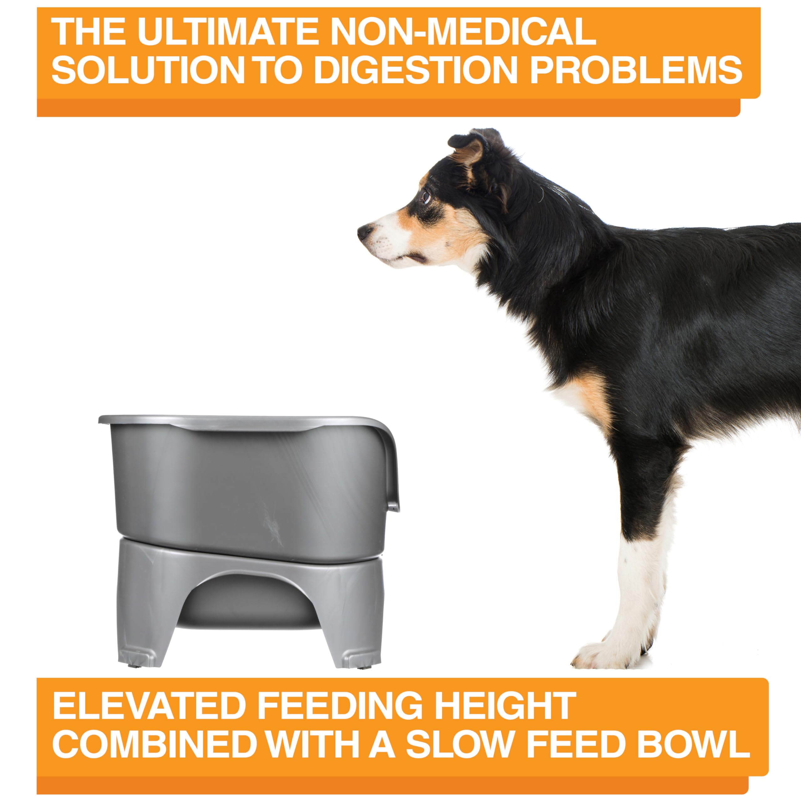 Made in the USA with stainless steel bowls crafted in India.
