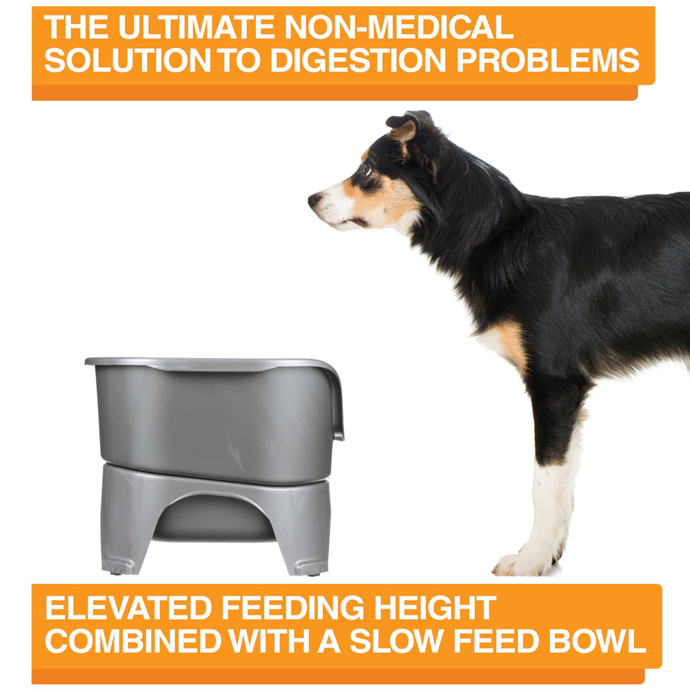 Made in the USA with stainless steel bowls crafted in India.