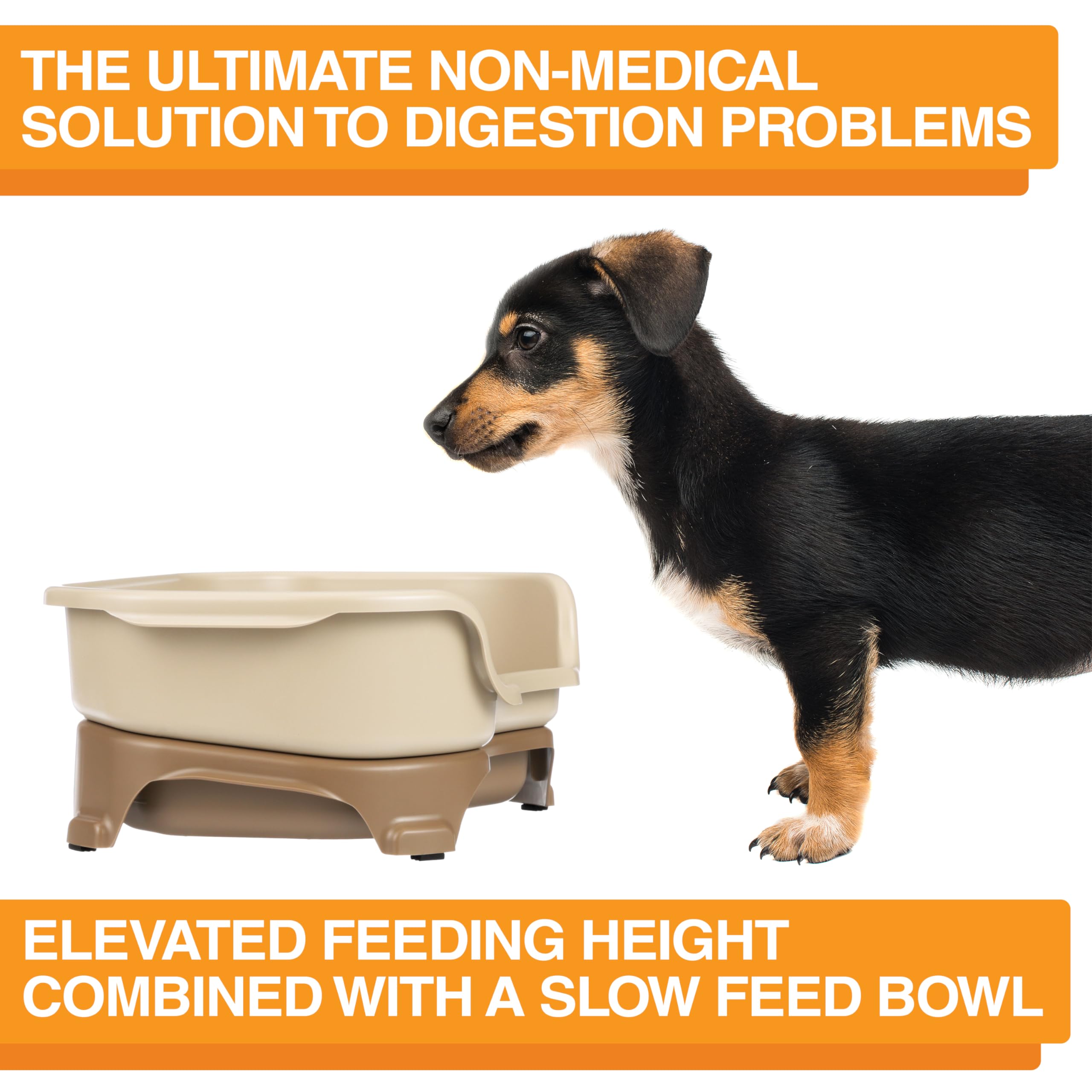 Neater Feeder Express non-skid feet prevent sliding on kitchen floors.