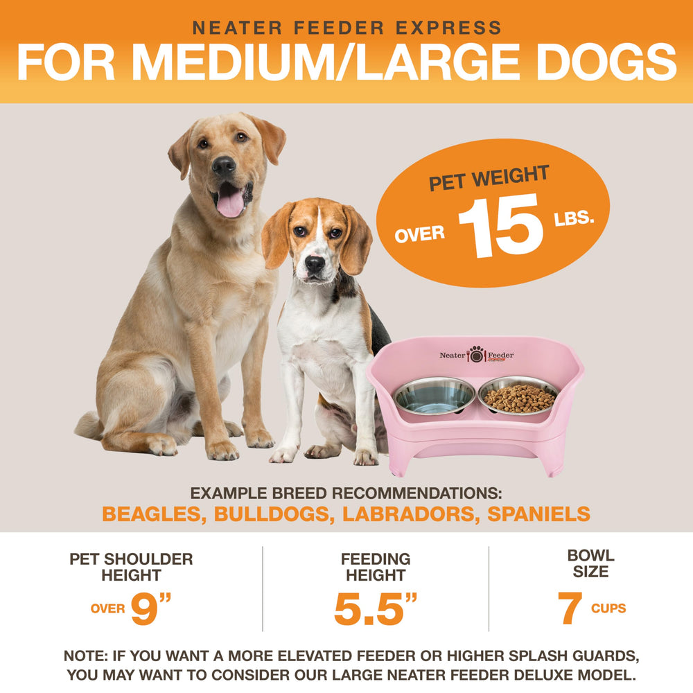 Neater Feeder Express pink dishwasher-safe bowls simplify cleaning after meals
