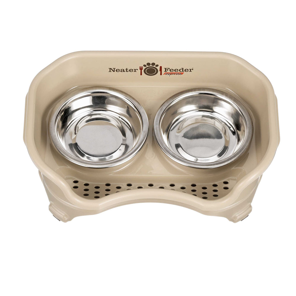 Neater Feeder Express raised height supports comfortable indoor cat meals