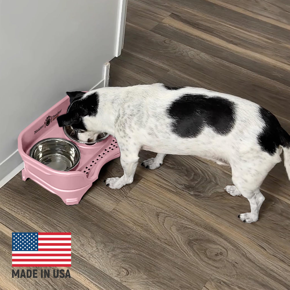 Neater Feeder Express compact design fits small dogs under 15 lb.