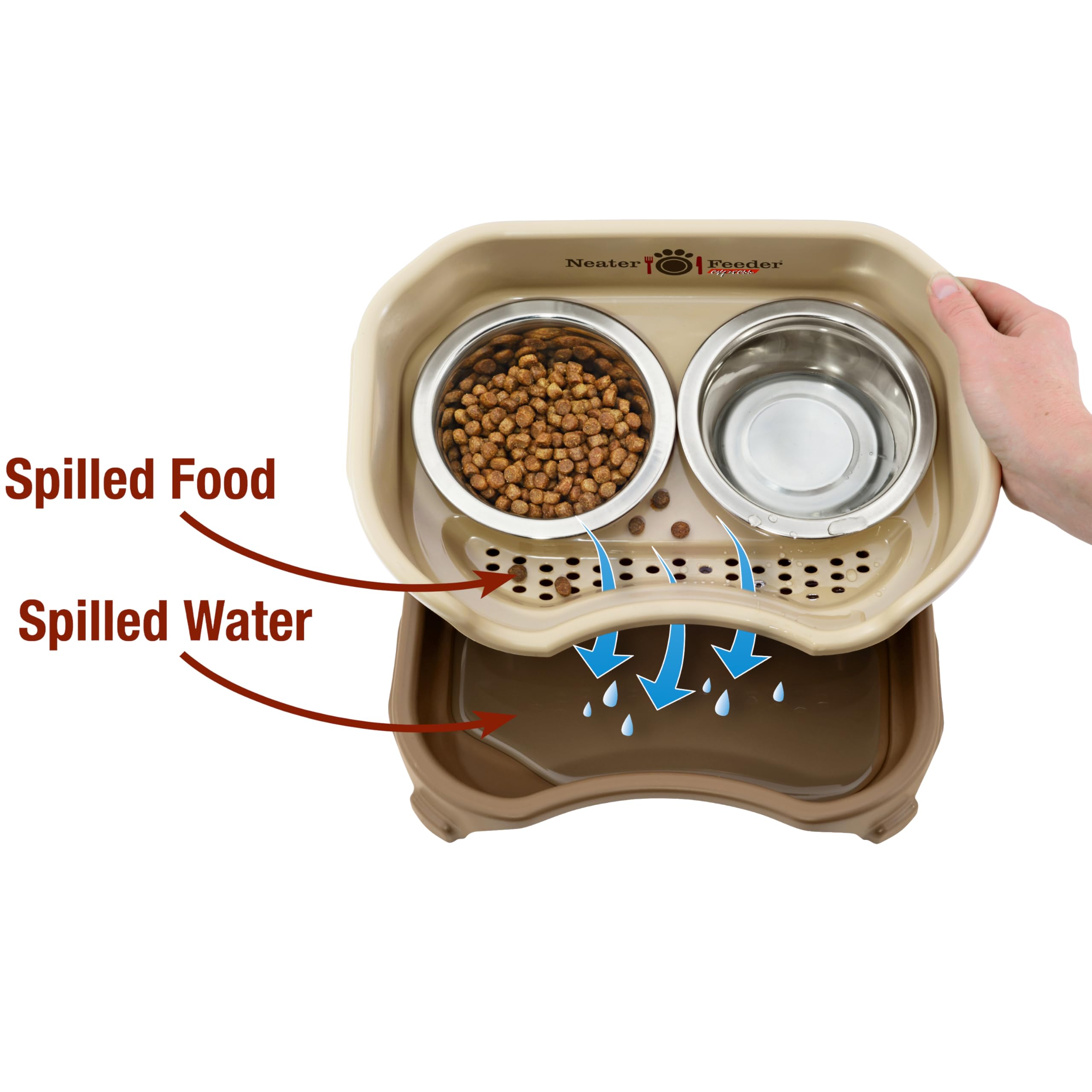 Neater Feeder Express whisker-friendly bowls for comfortable eating.
