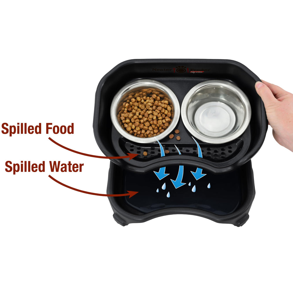 Neater Feeder Express whisker-friendly bowls for comfortable dining at home.