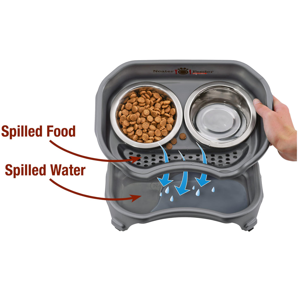 Neater Feeder Express whisker-friendly bowls designed for comfortable dining