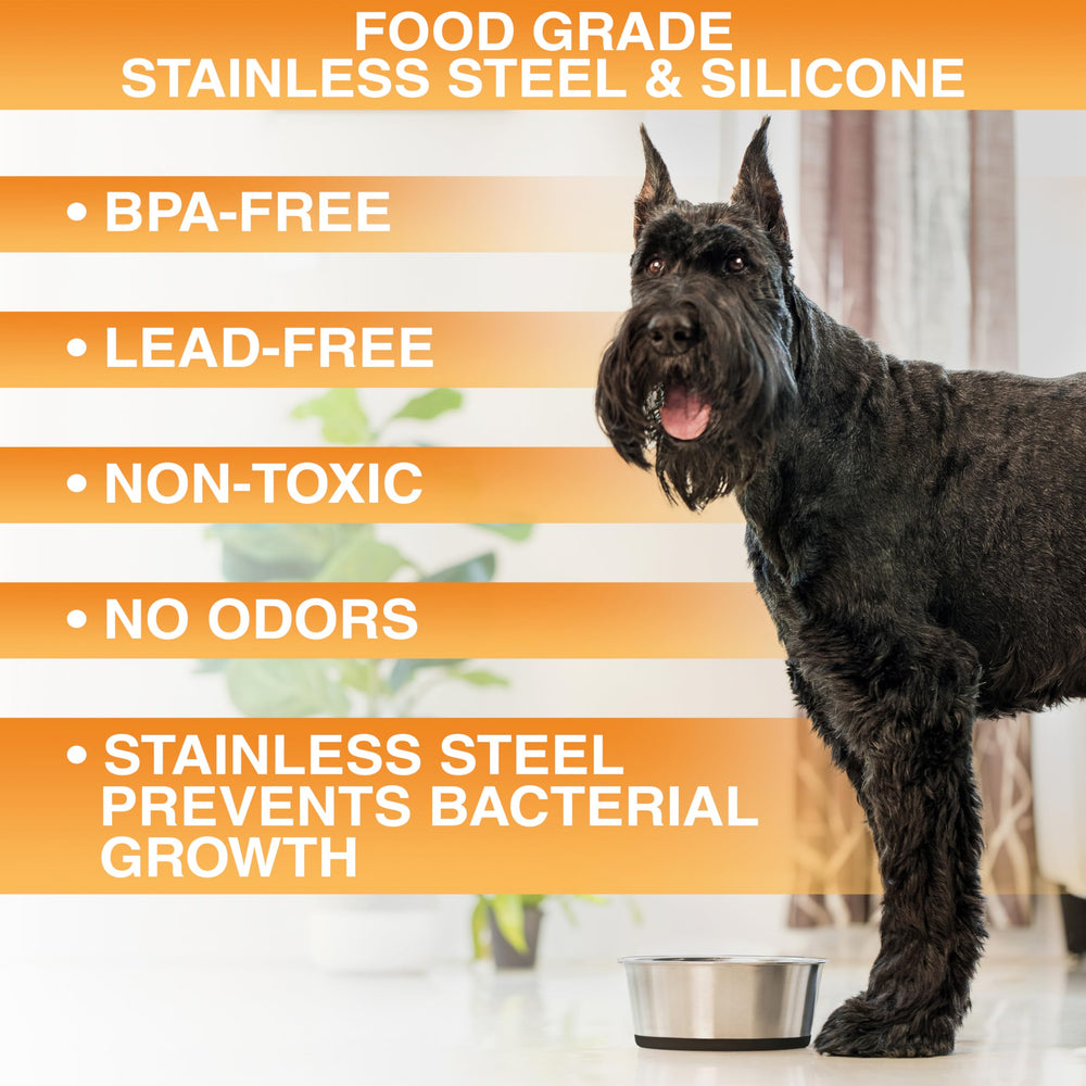 Four-cup capacity makes them ideal for medium dogs at meal times.