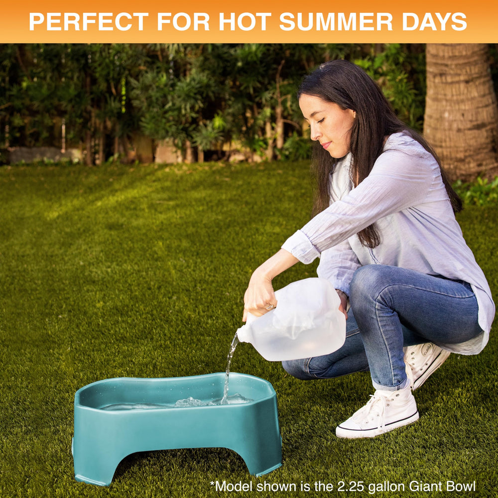Neater Pet Brands aquamarine bowl adds a bright outdoor accent while hydrating pets.