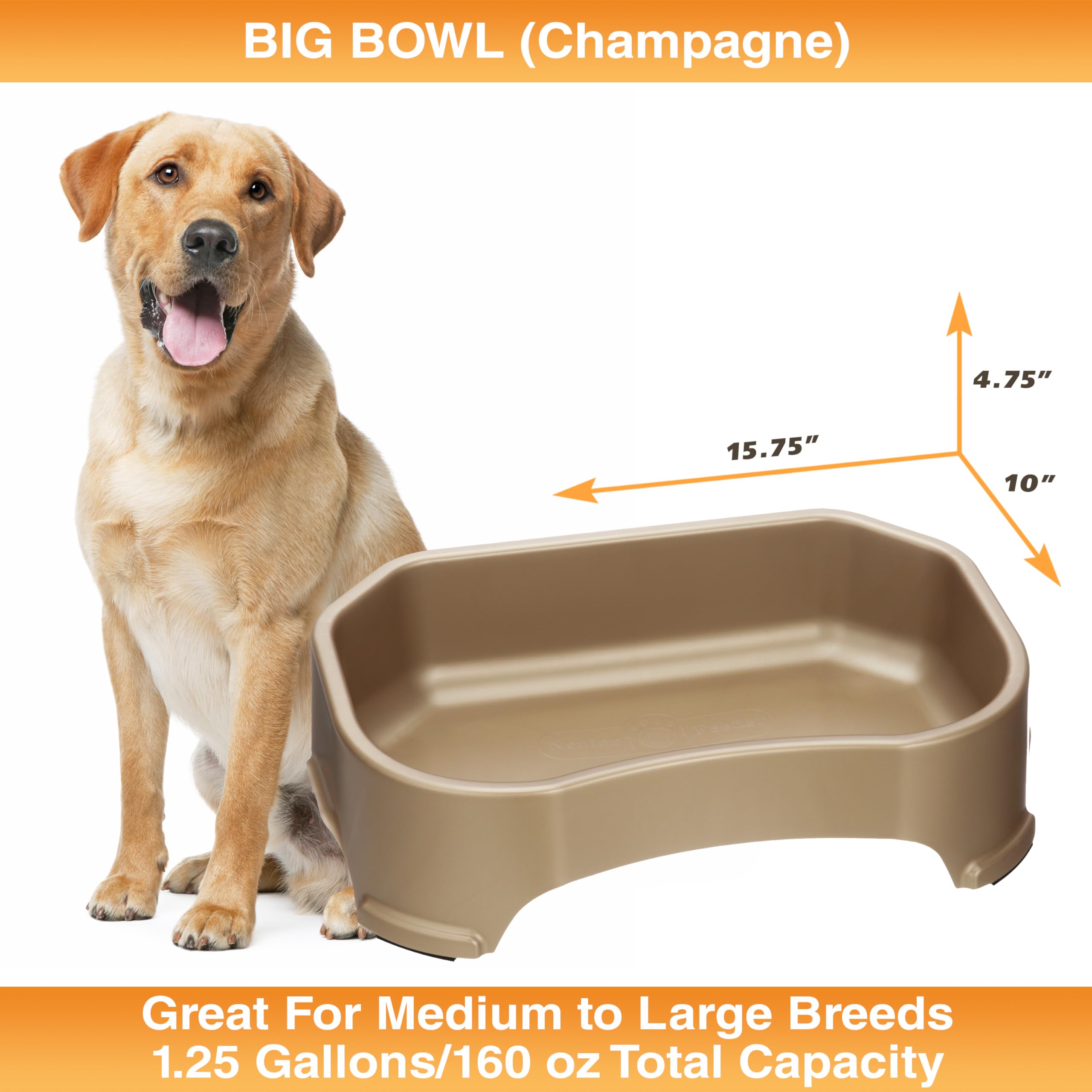 Neater Pet Brands champagne color blends with outdoor and indoor spaces