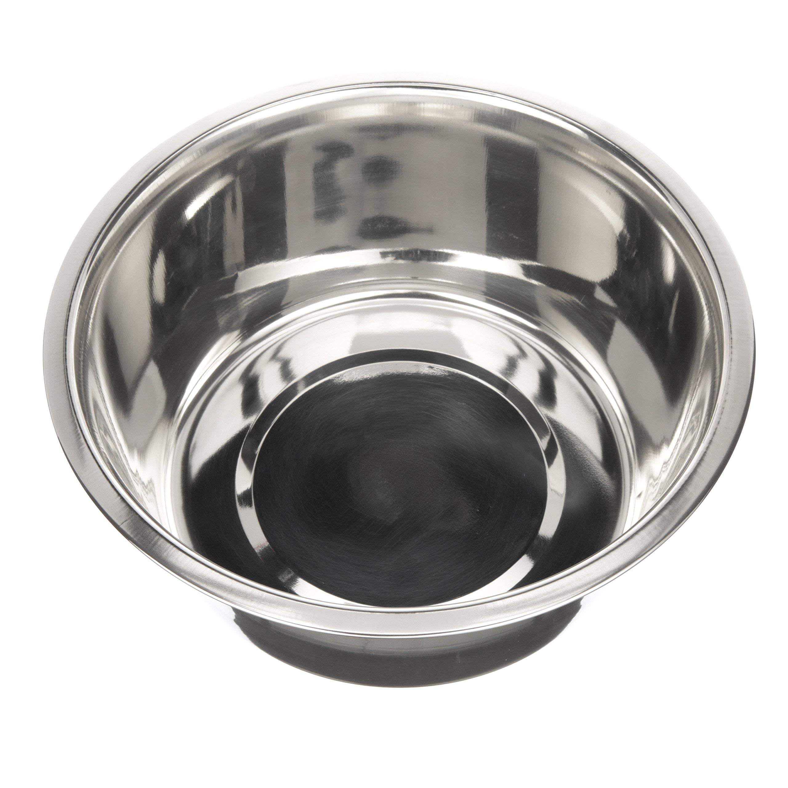 Neater Pet Brands durable stainless steel bowl resists denting for daily use.