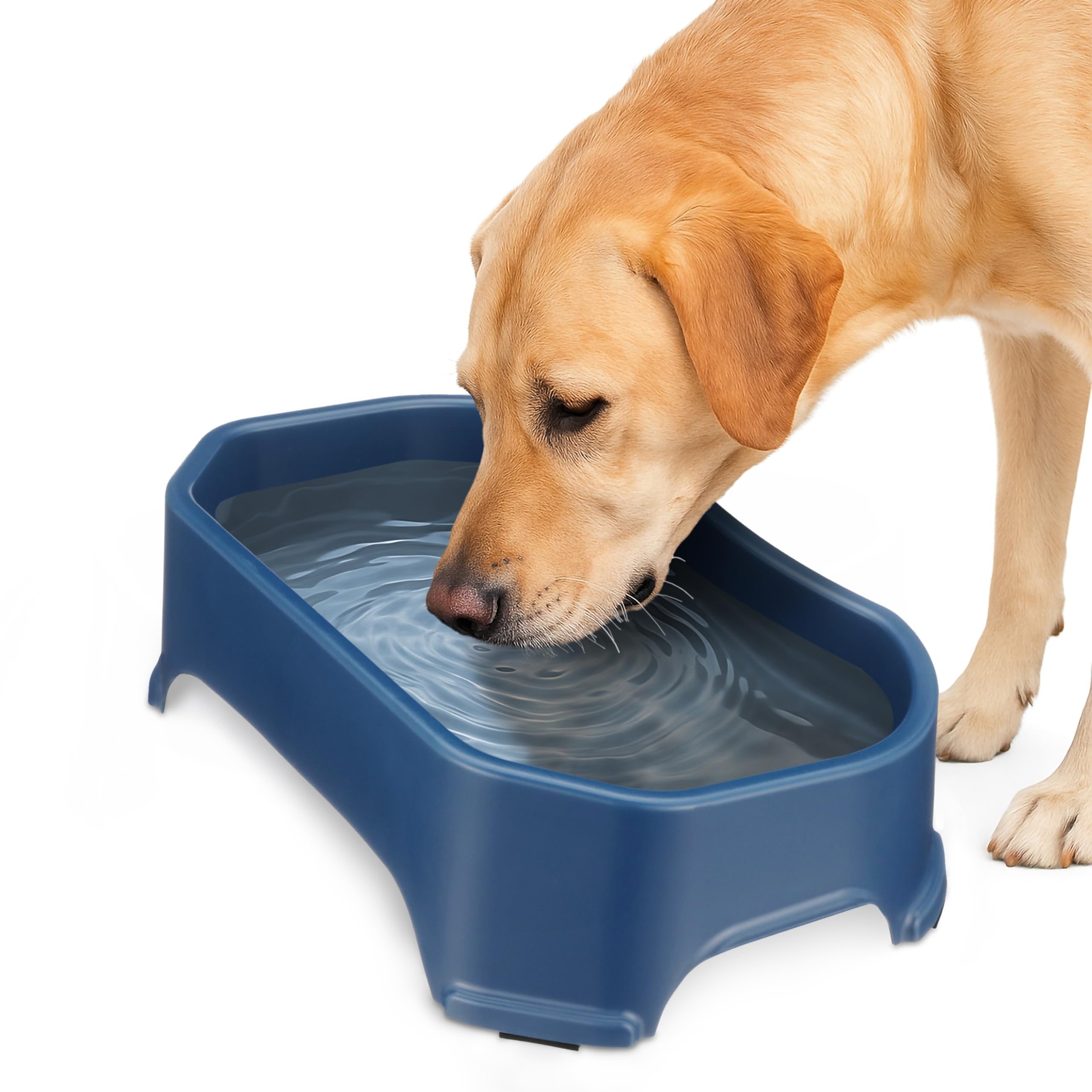 Neater Pet Brands extra-large outdoor water bowl keeps dogs hydrated during play
