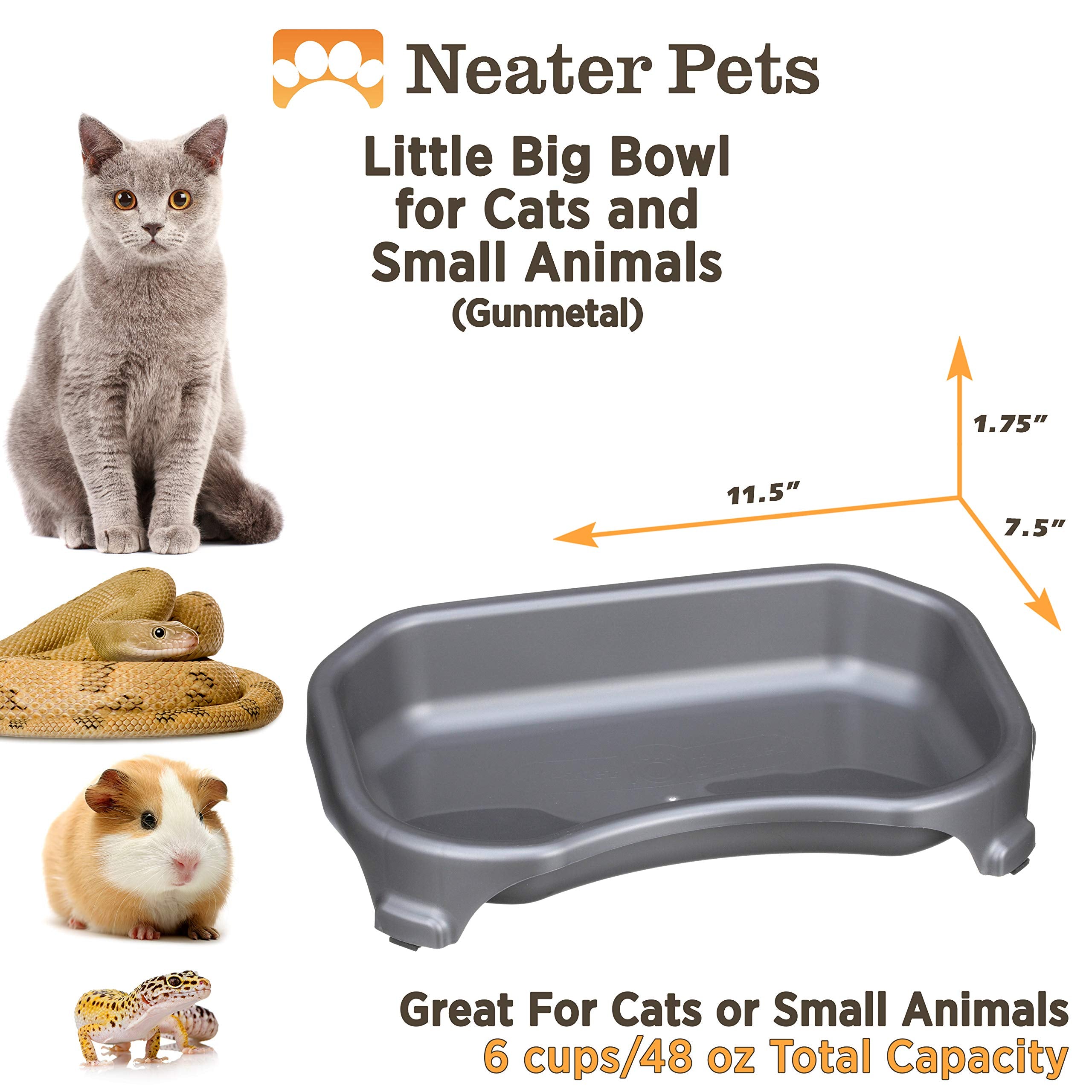 Neater Pet Brands gunmetal grey design bowl for durable appeal.