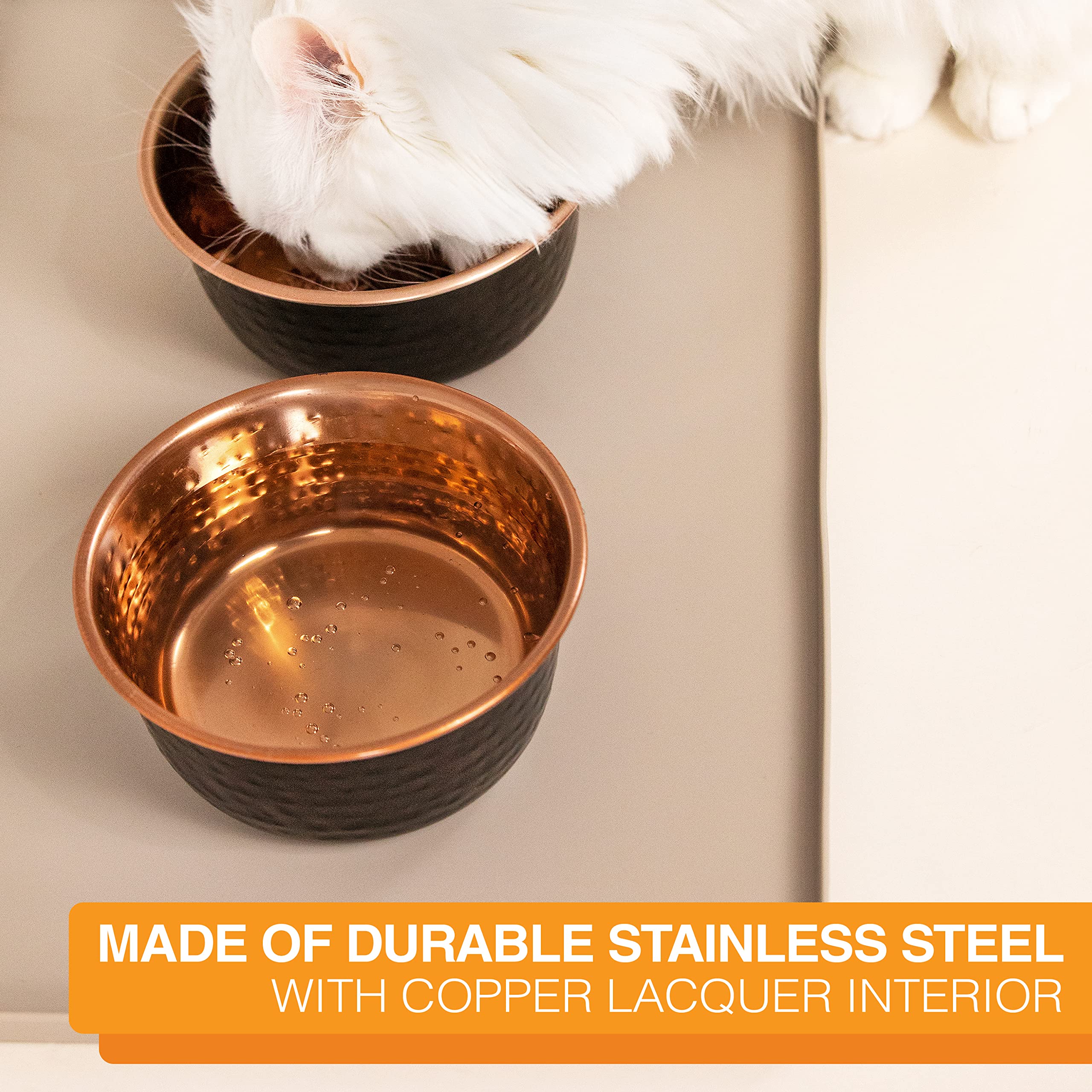 Neater Pet Brands hammered bowl fits medium-size dogs' meals.