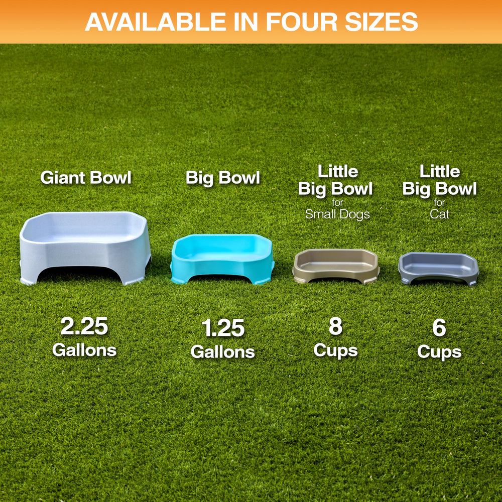 Neater Pet Brands large-capacity bowl for water or food.