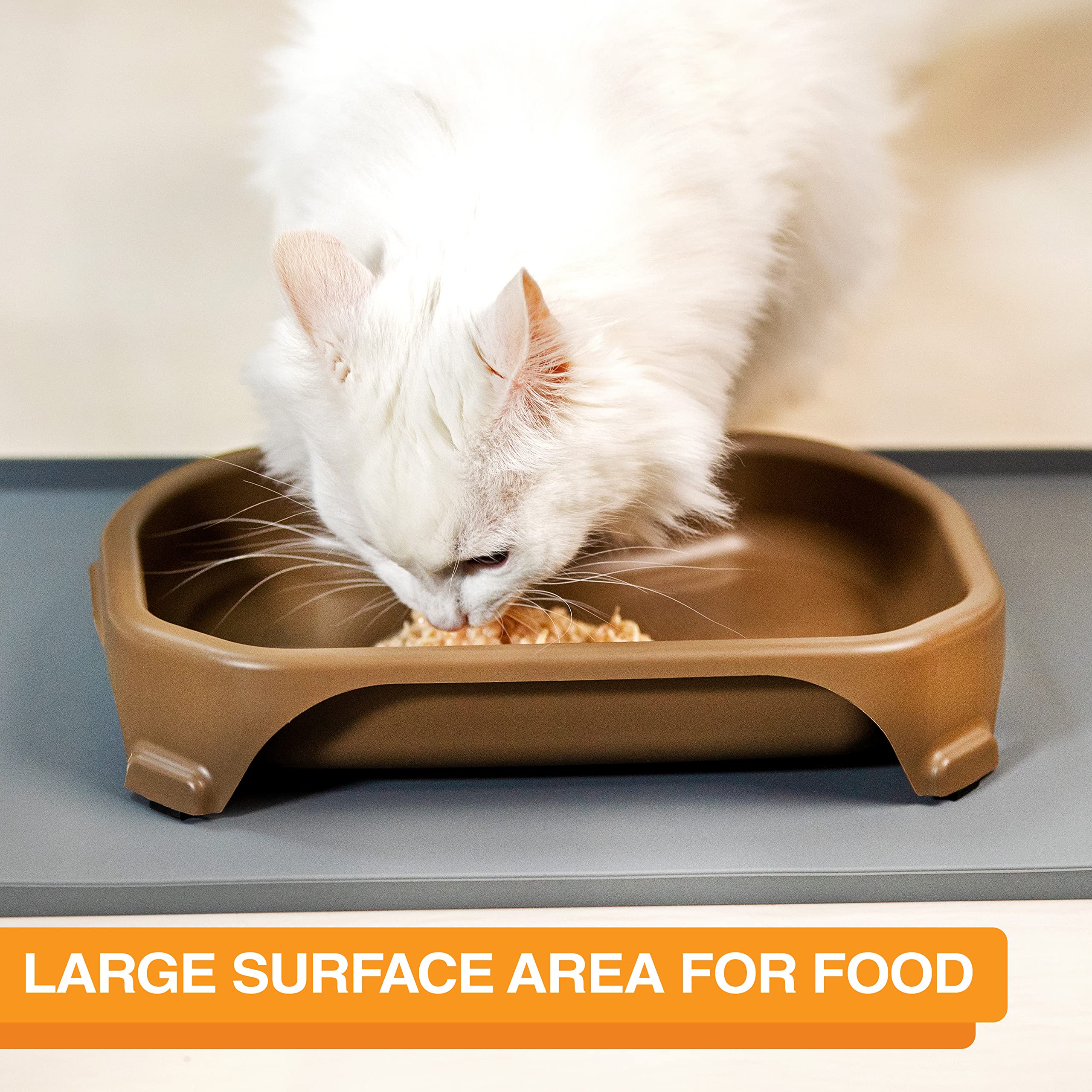 Neater Pet Brands bowl shows large surface area for pets