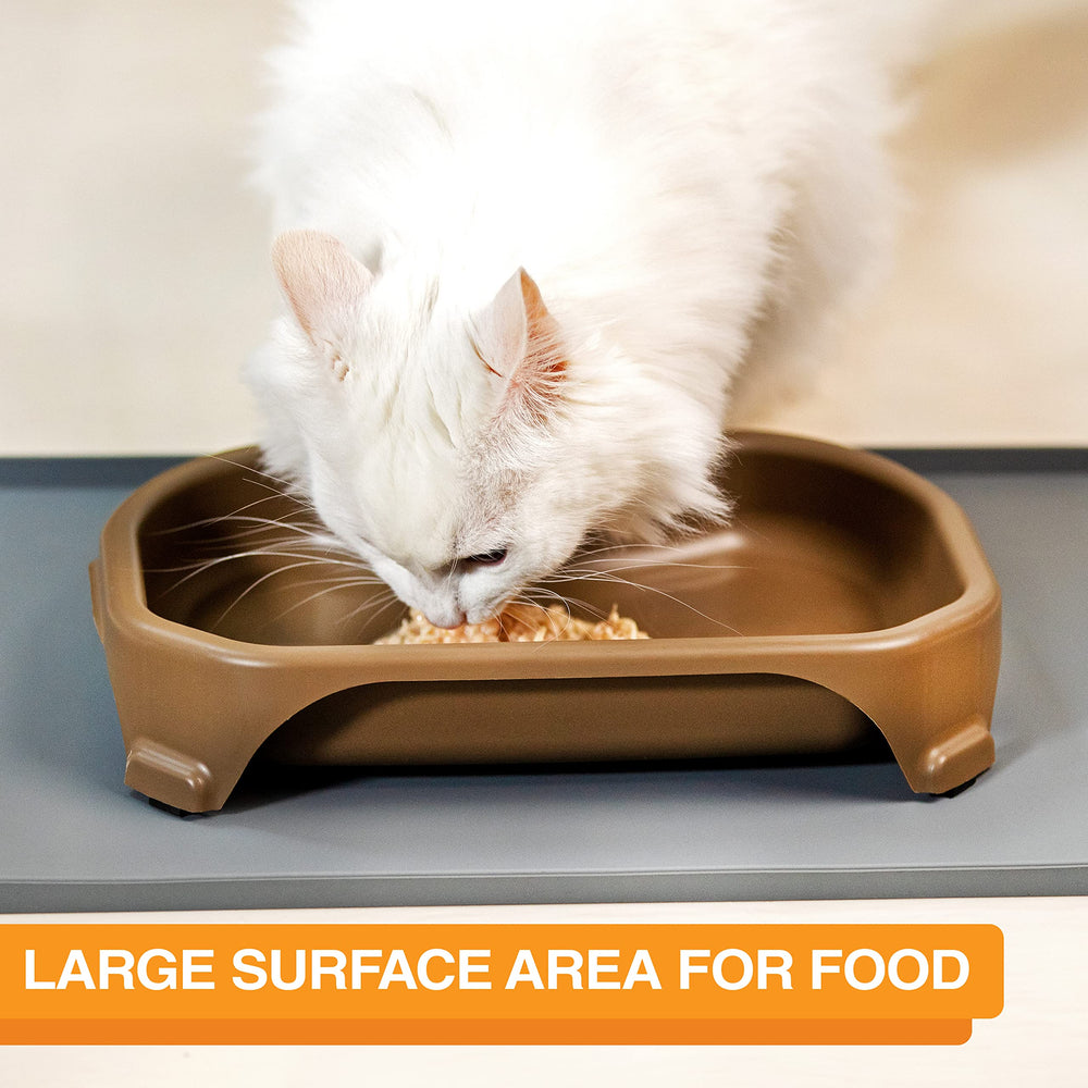 Neater Pet Brands bowl shows large surface area for pets