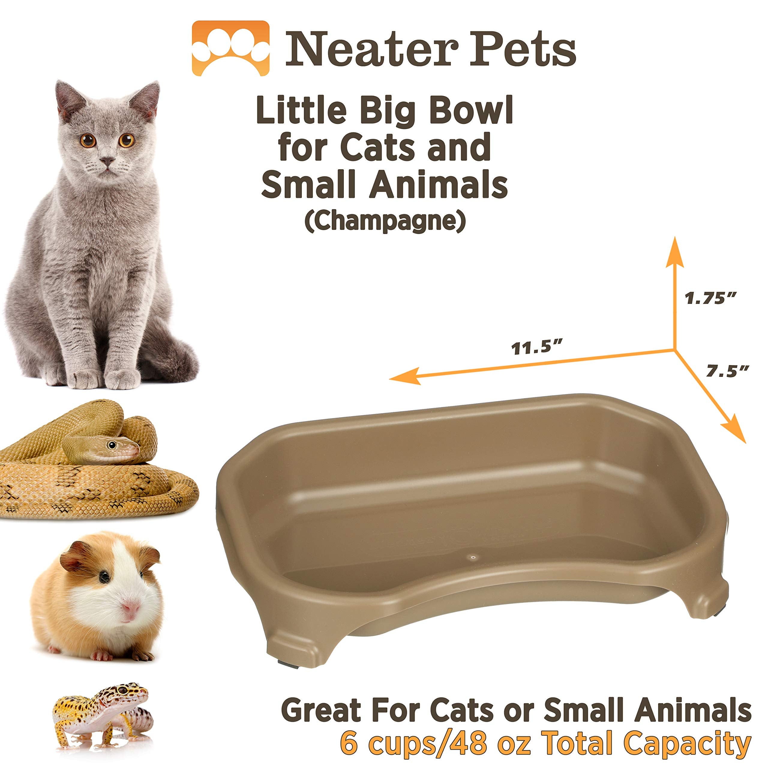 Neater Pet Brands made in the USA durable outdoor bowl