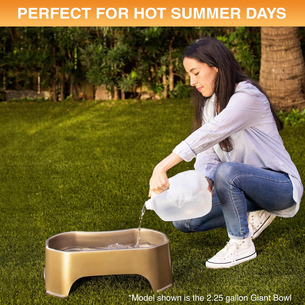 Neater Pet Brands large-capacity bowl ideal for multi-pet households