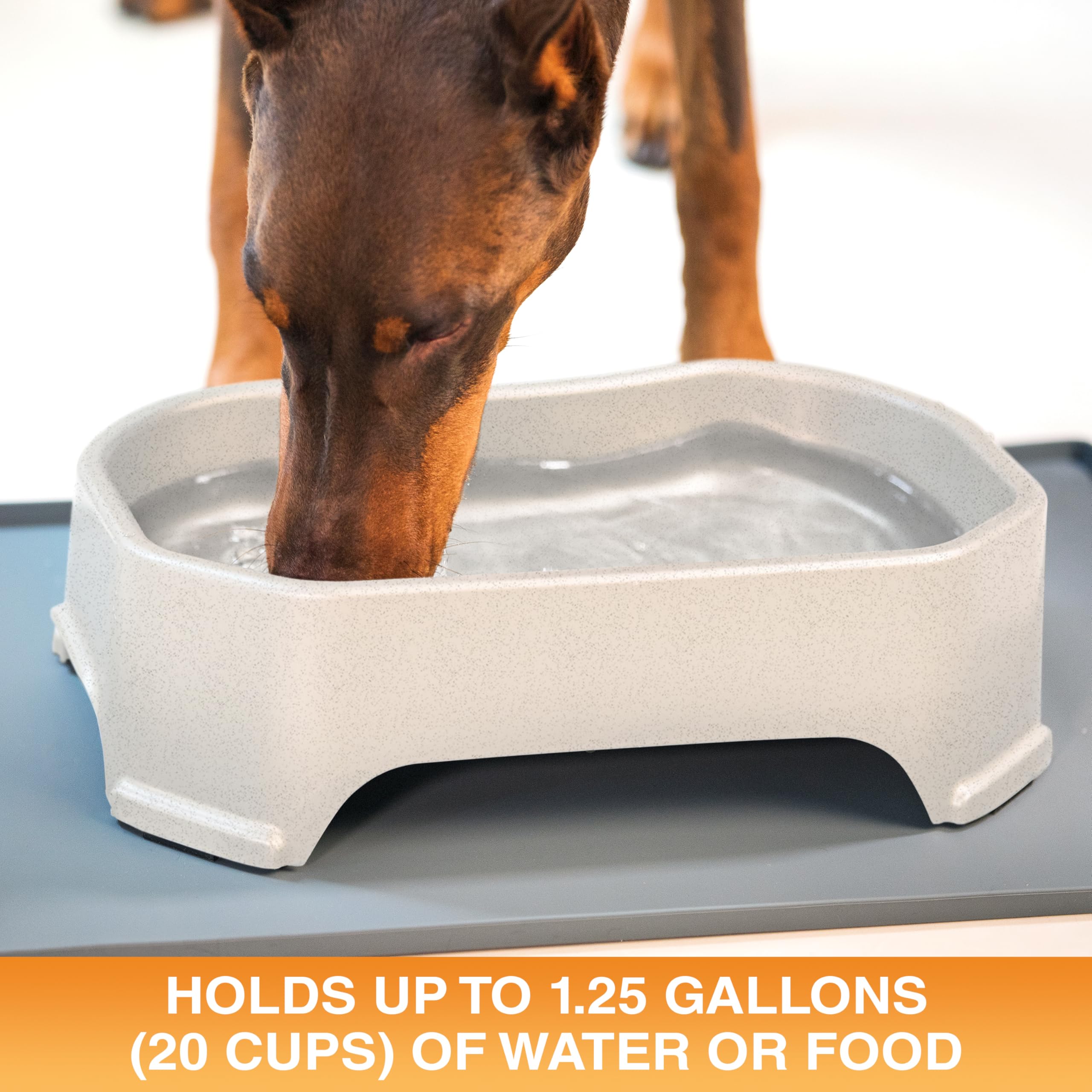 Neater Pet Brands no-spill design reduces splashes with high walls and a wide base.