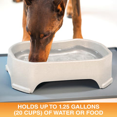 Neater Pet Brands no-spill design reduces splashes with high walls and a wide base.