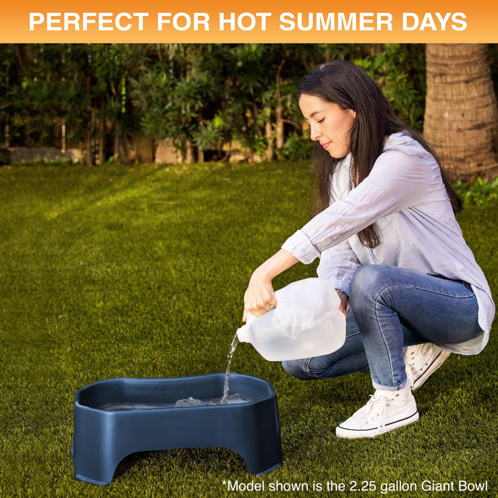 Neater Pet Brands dark blue bowl complements outdoor spaces