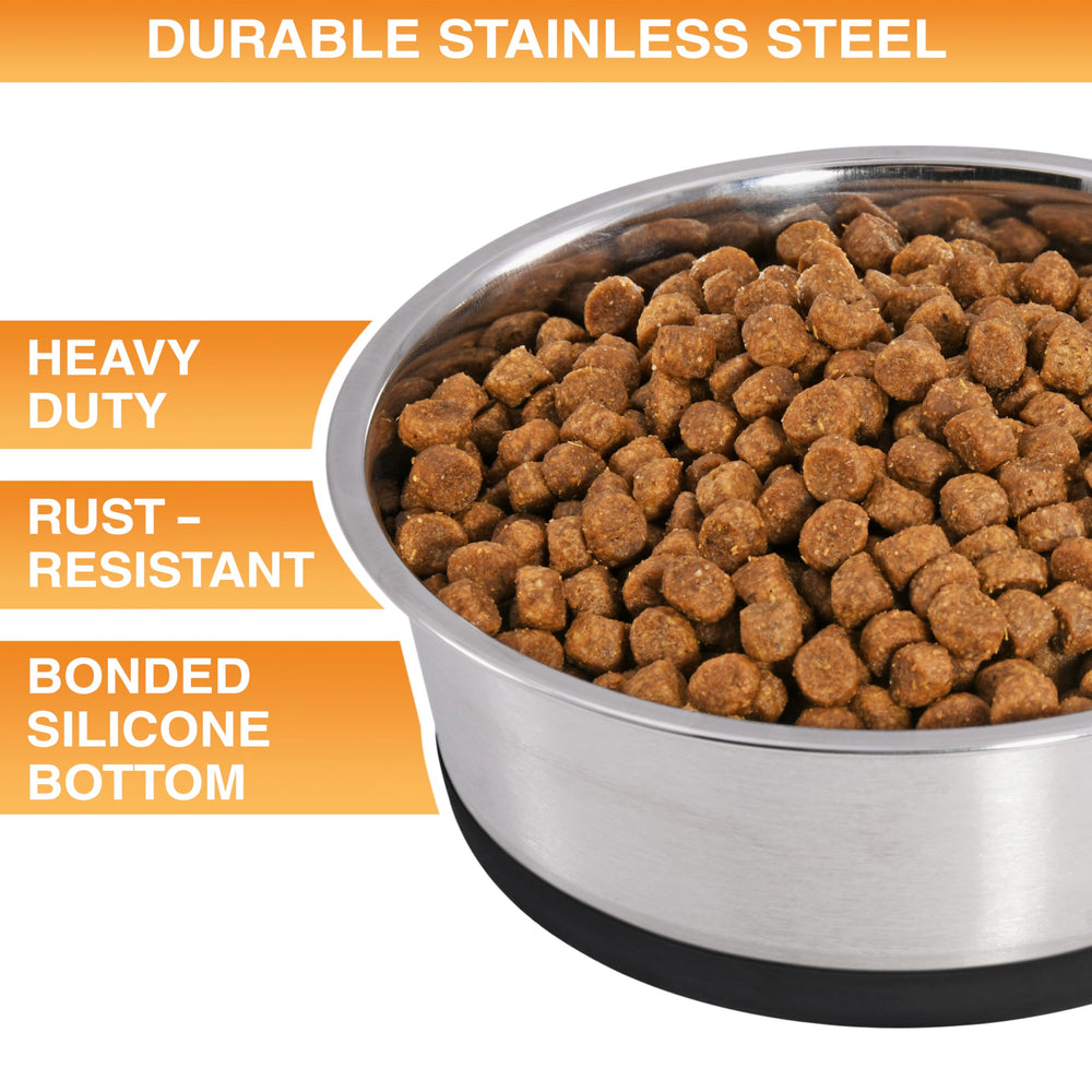 Neater Pet Brands non-slip-base-silicone-bottom bowl stays steady during meals.