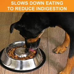 Neater Pet Brands non-tip design keeps bowls upright during enthusiastic meals.