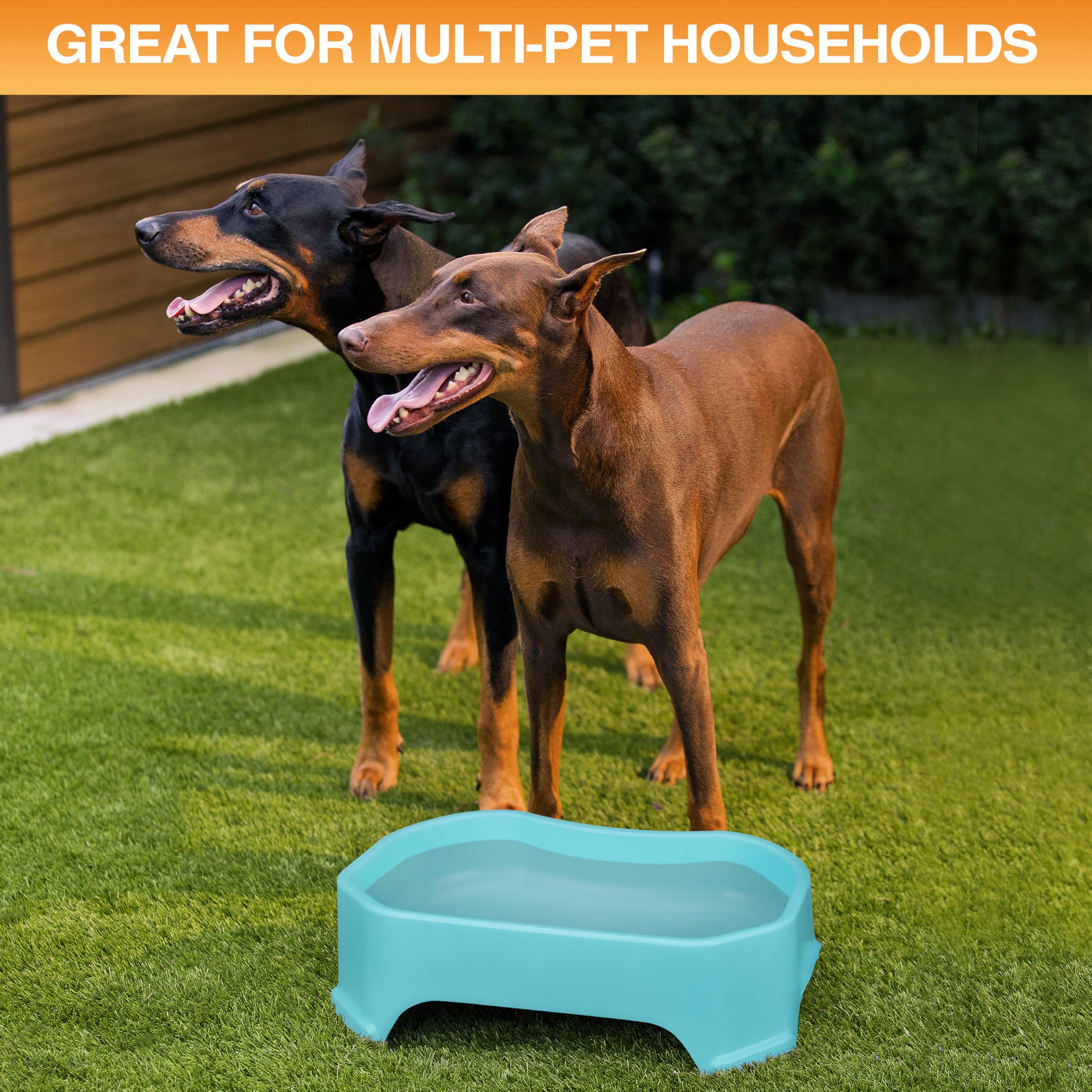 Neater Pet Brands one-and-a-quarter-gallon capacity supports multiple pets during outdoor activities.